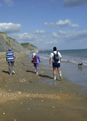 Beach at Lyme Regis