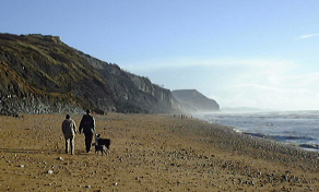 Charmouth beach near Lyme Regis
