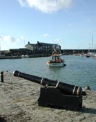 The Cannons on the Cobb