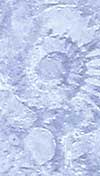 Lyme Regis fossils