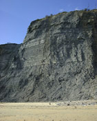 The cliffs at Lyme Regis