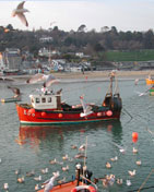 Fishing boat from the Cobb at Lyme Regis