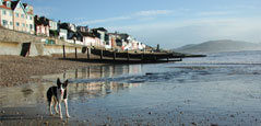 The beach at Lyme Regis Dorset